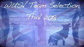 WUSV 2018 IPO World Championships Team GB Selection Trial