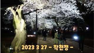 #2023 3 27 울산시 - 작천정 - 벚꽃이 완연한 봄을 알렸습니다   #24시간 많은 사람들이 작천정 벚꽃을 찾아 오고 있었습니다   ㅡ 조용한 여행 ㅡ