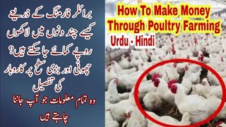 How To Start Poultry Business In Pakistan | پولٹری فارمنگ سے لاکھوں روپے کمائیں| PPS Poultry |