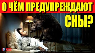 О ЧЕМ ПРЕДУПРЕЖДАЮТ СНЫ