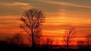 Video Of Sunset | True Nature |