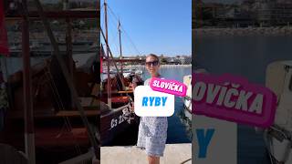 🐟 RYBY (Learn Slovak | Vocabulary) #learnslovak #slovakforforeigners #slovaklanguage #словацкий