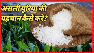 यूरिया में मिलावट की पहचान ऐसे करे👉How to identify adulteration in urea #shorts