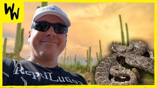 We Found Rattlesnakes & Gila Monsters in the DESERT!