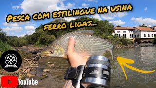 PESCA COM ESTILINGUE NA USINA FERRO LIGAS CERQUILHO SP... #guiadomato