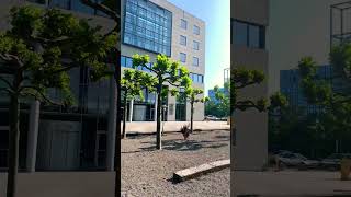 Sunny Day - Frankfurt Germany #study #university #studyineurope #germany