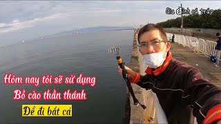 Câu cá ở chỗ không ai ngờ tới, nơi nguy hiểm nhất là nơi cá nhiều nhất | Gia Đình Cá Tráp #cauca