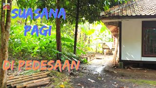 Keseharian Penduduk di Pedesaan | Suasana Pedesaan | 4K