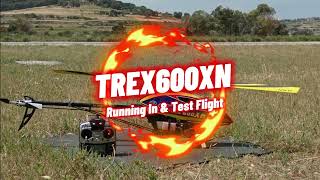 Trex600XN (Running In followed by Test Flight)