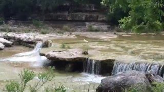 Snowy Egret at Bull Creek