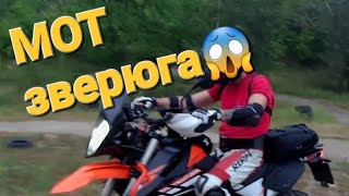 КТМ 890 Adventure. Мотоцикл Тур эндуро! Мотоцикл для путешествий и не только...