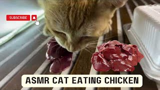 ASMR Cat eating chicken liver Yummy Food ❤️ #cat #catlovers #asmr  #cattomemes #shorts  #animalasmr