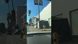 Homeless in Los Angeles on Sunset Boulevard