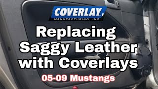 Coverlay Door Inserts for "05-09 Mustangs"