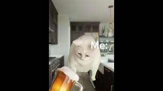 POV: you get to taste beer for the first time://#fypシ #funny #catmemes #lol #beer #eww