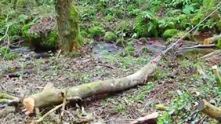 Log winching at Wrenwood