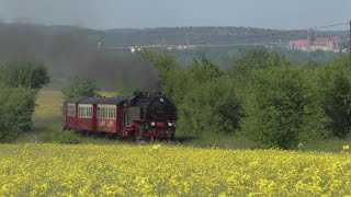 HSB 99 222 im Selketalplandienst / Harzer Schmalspurbahnen