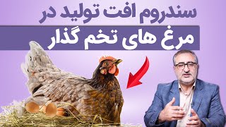 سندرم افت تولید در مرغ های تخمگذار