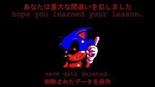 Anti-Piracy Screen - Sonic Mania (2017)