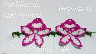 puntilla # 14 orquídeas