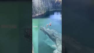 "Daredevil Jump! Just Inches from a Giant Whale!"#beach  #adventure