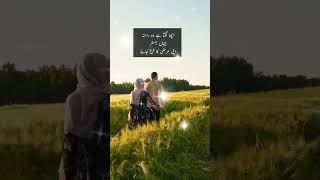 Man Pasand Humsafar WhatsApp Status Video #motivationalvideo #youtubeshorts #shortvideo