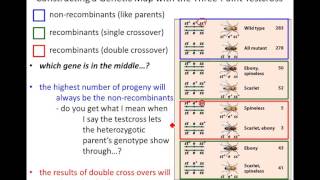 Lecture 10 - Three Point Crosses