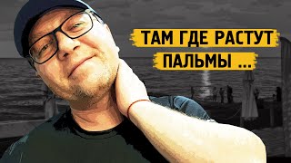 Уехать туда где растут пальмы / Зеленый рай / Норильск / Блог /