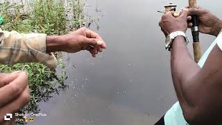 uncut full fishing 🎣 video