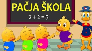 Pačja škola - Pjesmice za početak školske godine