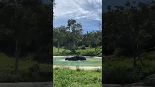 Our baby big boy Heaven is playing with his grandma, Srinin.#elephant #samui