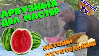 БОРЩЕЦ / АРБУЗНЫХ ДЕЛ МАСТЕР / БАТОНЫ ОХYUТЕЛЬНЫЕ / ТАПОЧКИ