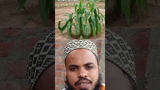 समझ में आ जाए तो प्यारा सा कमेंट जरूर करें☝️❣️#shorts #allah #islamicvideo #iluashrafi #viralvideo