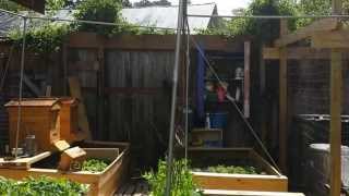 Bees in an urban homestead: Liftoff angles