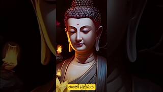 දවසම ලස්සන කරන ඒ පින්වන්ත රුව බුදු හිමි පමණි❤❤❤#buddhism #buddha