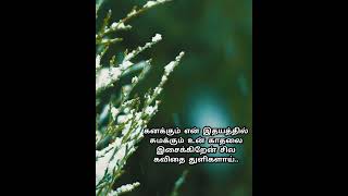 🥰Love Poems in tamil |❤️Romance love quotes for husband,wife,boyfriend,girlfriend|😘best love quotes