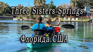 Плаваем с ламантинами в Three Sisters Springs(Florida.USA) декабрь 2021