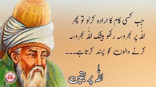 Jab kise kam ka irada ker lo to phr Allah per bhrosa rakho||Best Urdu Quotes||