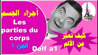 تعلم الفرنسية للمبتدئين- أجزاء الجسم -الوجه/le visage ✅وكيف نعبر عن الألم 💯 الجزء1🔝ترقبوا الجزء 2