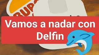 Vamos a nadar con Delfin 🐬#vamis #nadar #con #delfin #españa