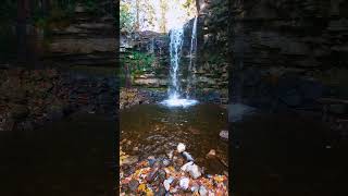 Water falls in Canada #shorts#minivlog