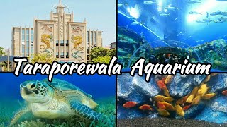 Taraporewala Auqarium- India's Oldest Aquarium- Marine drive, Mumbai