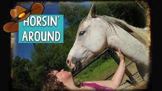 Quebec Countryside Drive | Horse Ranch Tour ft. Lenaaround - S02E05