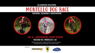 Montello Dog Race - Allenamento collettivo del Cerbero Team - 28 Nov 2021