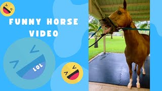 FUNNY & CUTE ~ Viral video ~ 🤣🤭😂 my horse does it better 🎤sings #horse 🐎 #shorts