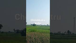 Cholakkattru Kollai | Tamil | NELLAI TUTICORIN VIDEOS |