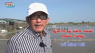 Chăm sóc tôm nuôi mùa Đông | Ao đất