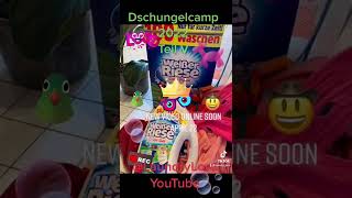 Dschungelcamp🦜Teil 5 Waschküche laundrylord teaser