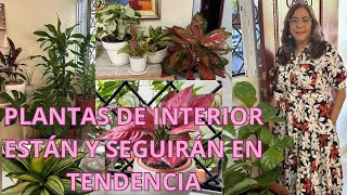 PLANTAS DE INTERIOR que están y seguirán en TENDENCIA! Te las MUESTRO#jardín#plantasdeinterior#tour#