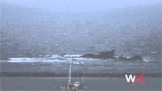 Mavericks Surf Report October 31, 2014